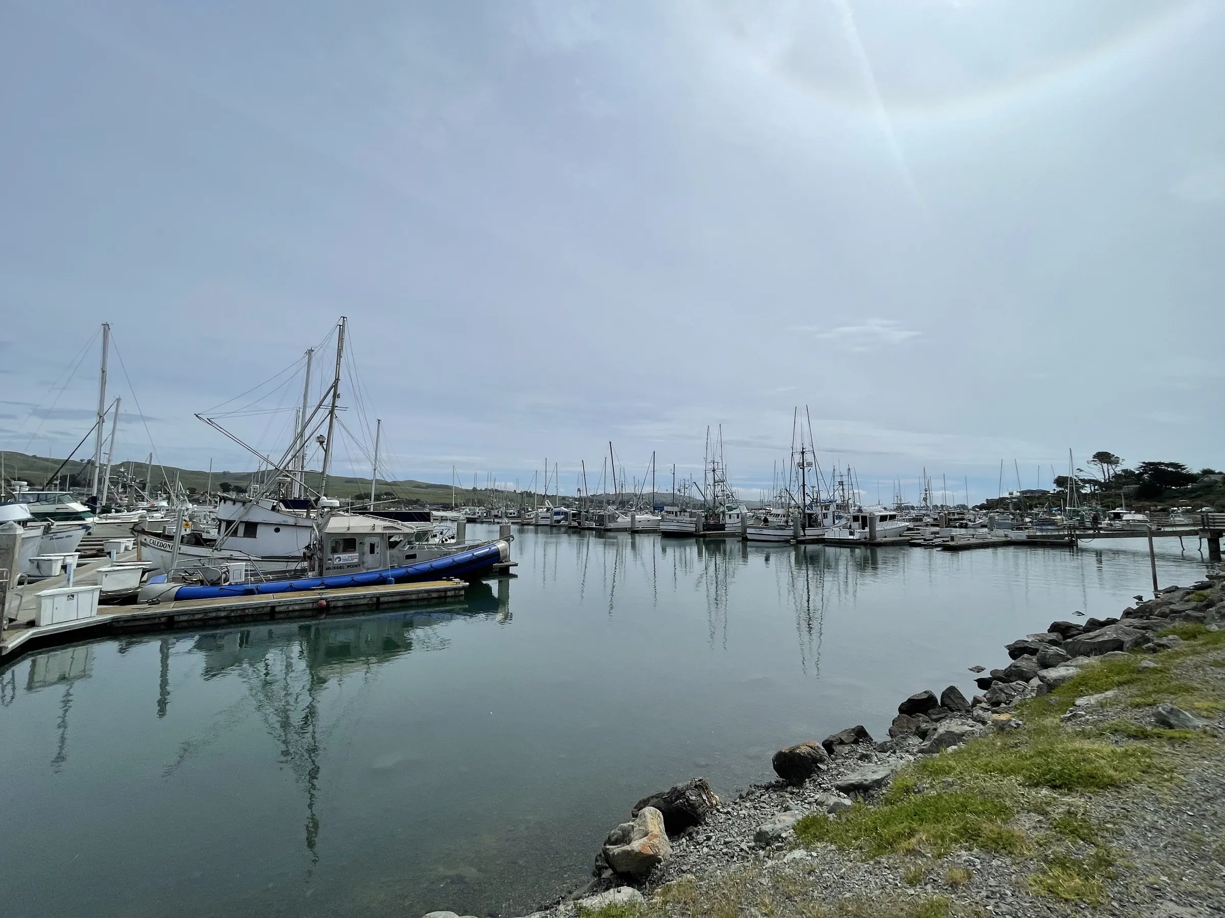 Fishing boats in Bodega Harbor