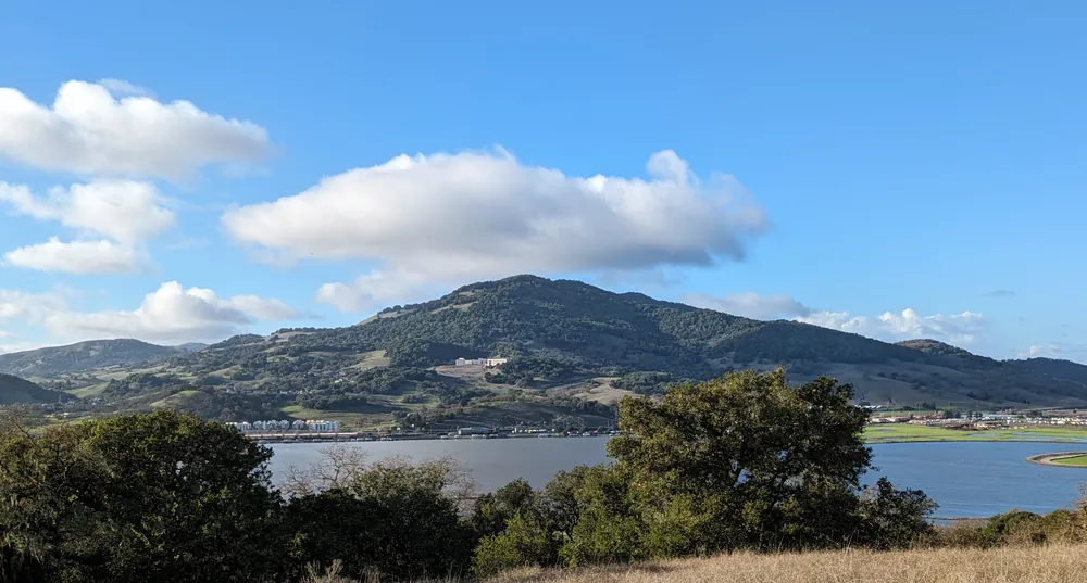 Mount Burdell above the Rush Creek marshes in Novato