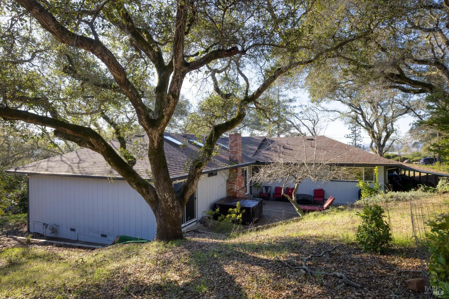 A place to put down roots at 2105 Sunrise Avenue